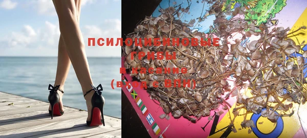 марихуана Новозыбков