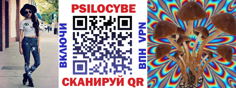сколько стоит  Новоуральск  Галлюциногенные грибы Psilocybine cubensis 